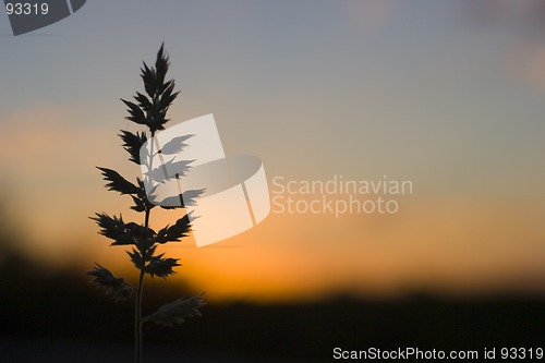 Image of African sunset