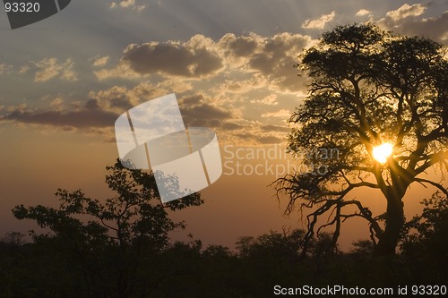 Image of African sunset