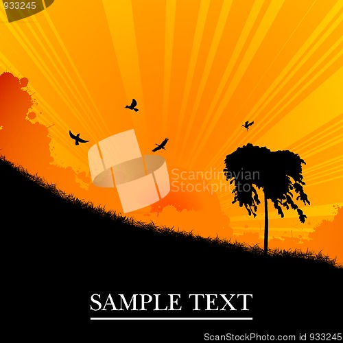 Image of Sunset landscape