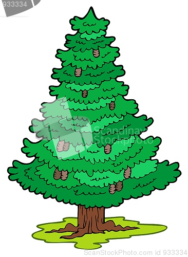 Image of Cartoon coniferous tree