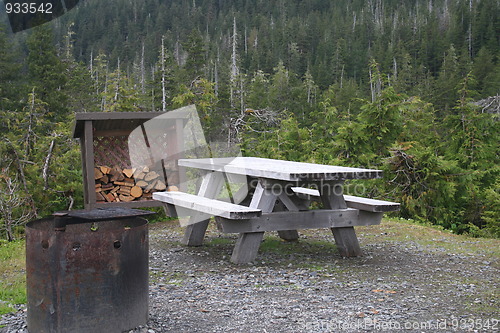 Image of Picnic Area in Tongass National Forest