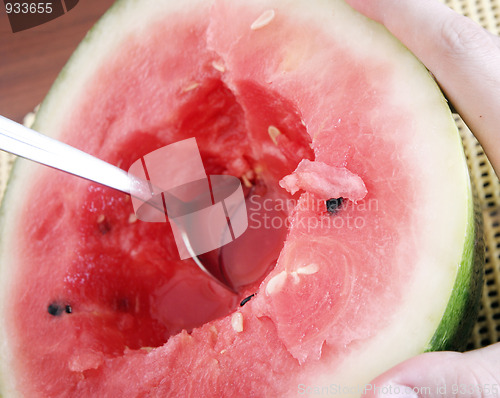 Image of Watermelon