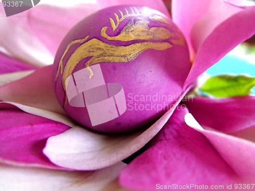 Image of Magnollia egg closeup