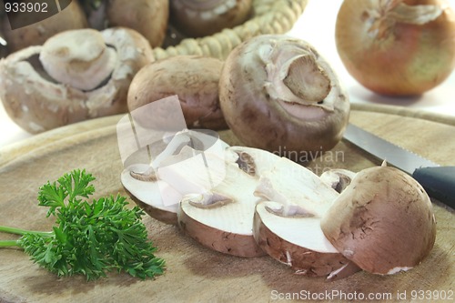 Image of mushrooms