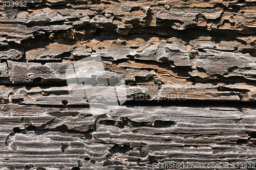 Image of textured wood
