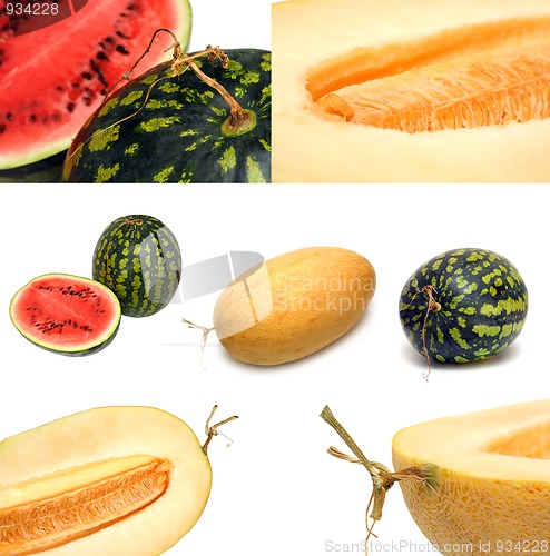 Image of melon and watermelon set