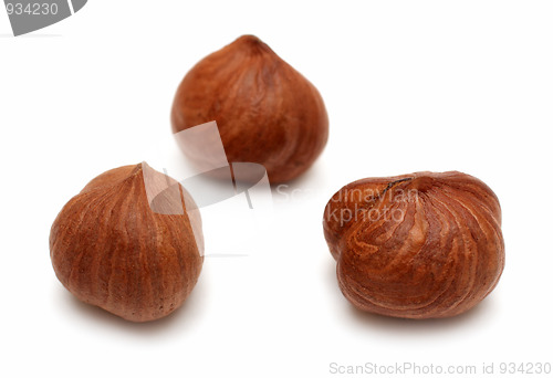 Image of three clear hazelnuts