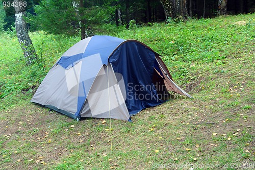 Image of tent in forest