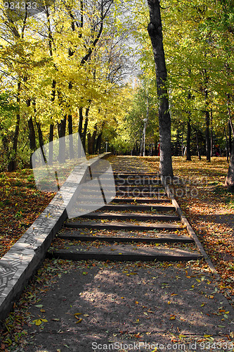Image of staircase in autumn park