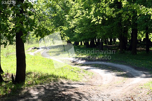 Image of rural road in forest