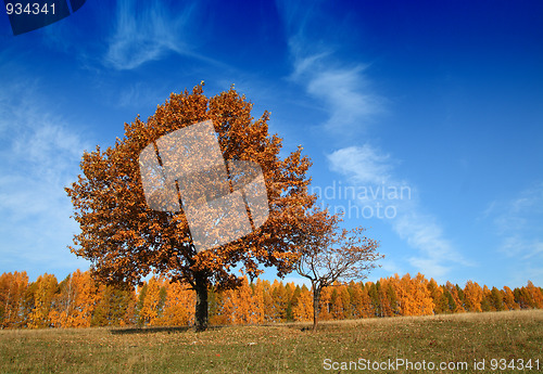 Image of autumn landscape with tree