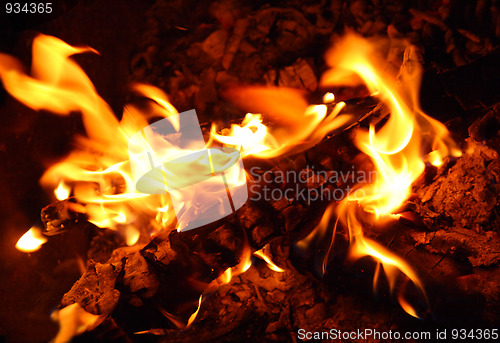 Image of view in bonfire
