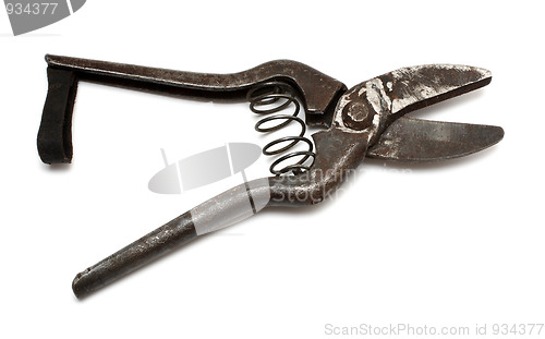 Image of old gardening scissors