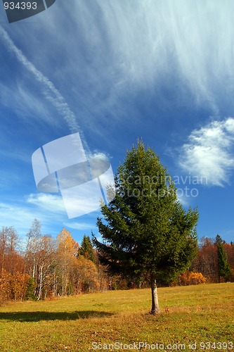 Image of autumn landscape with fir tree