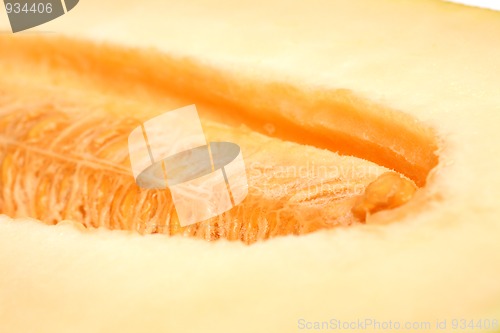 Image of close-up melon background