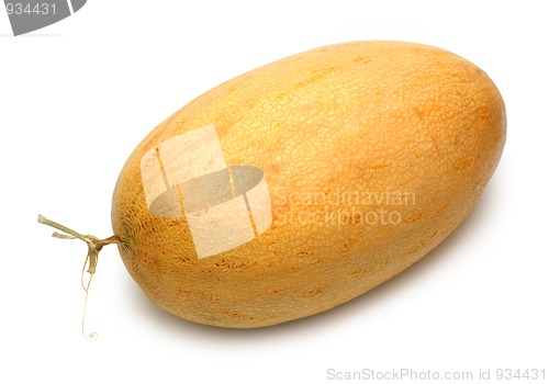 Image of melon