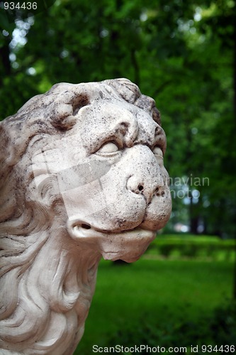 Image of stone lion head