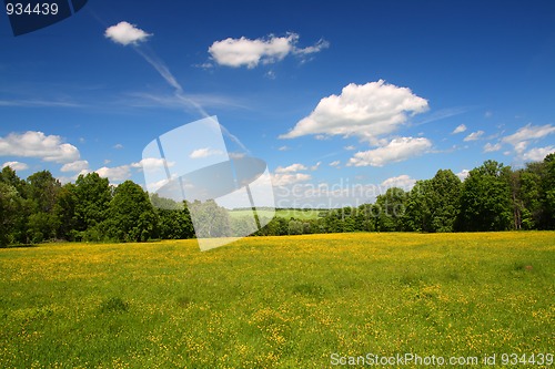 Image of summer landscape