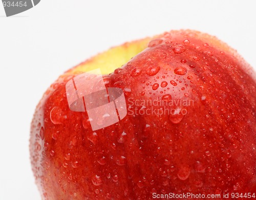 Image of wet red apple with drops