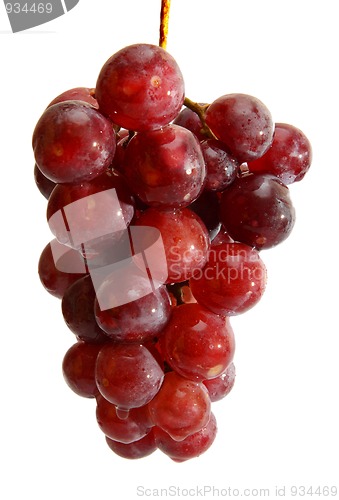 Image of wet grape bunch