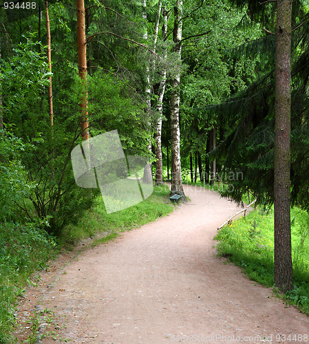 Image of curved road in park