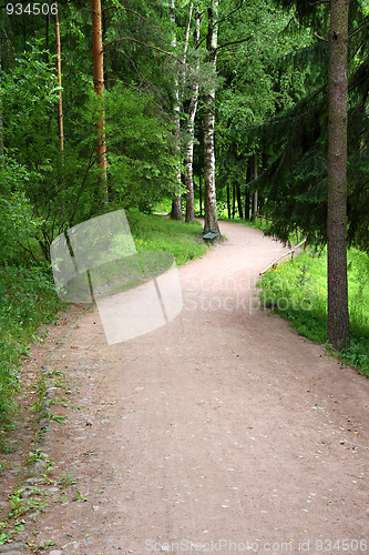 Image of curved road in park