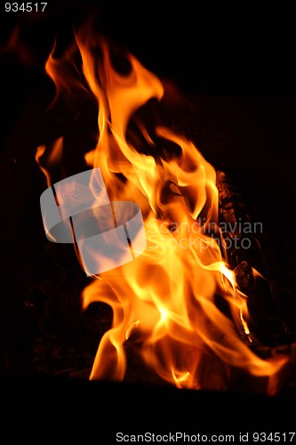 Image of bonfire flame