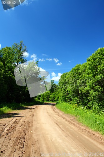 Image of rural road in forest
