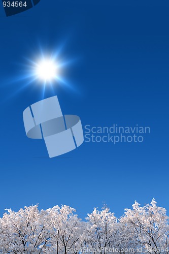 Image of background with winter woods under sky