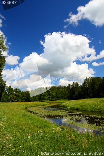 Image of pond landscape in Pavlovsk park