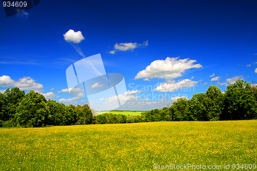 Image of bright summer landscape