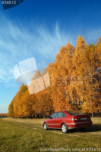 Image of red car near autumn forest