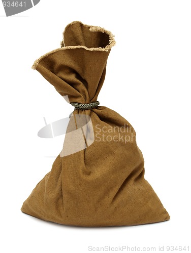 Image of canvas bag with money