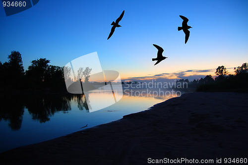 Image of river dusk landscape with gulls