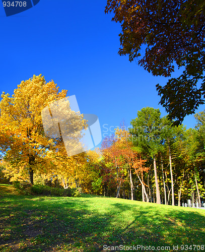 Image of landscape with trees in autumn park