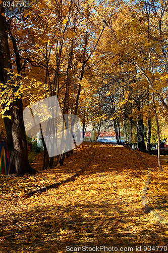 Image of lane in autumn park