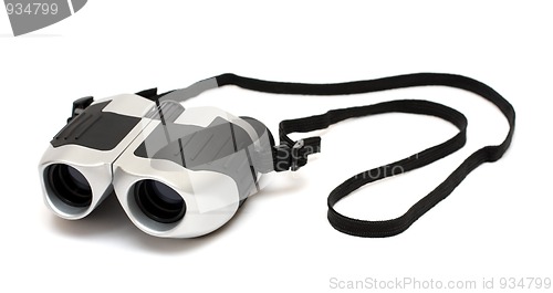 Image of grey binoculars with strap