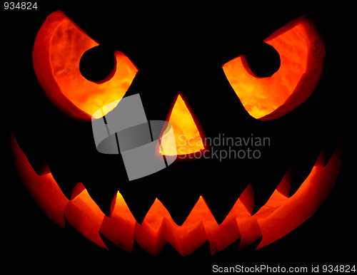 Image of Halloween pumpkin on black