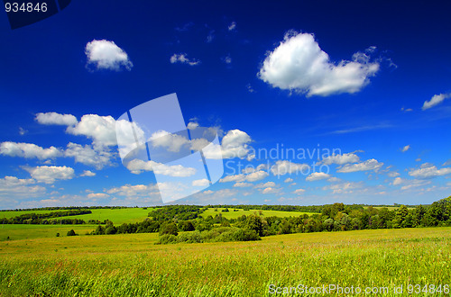 Image of summer landscape