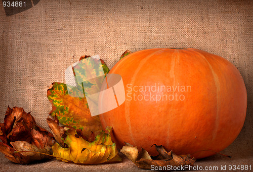 Image of Fall background