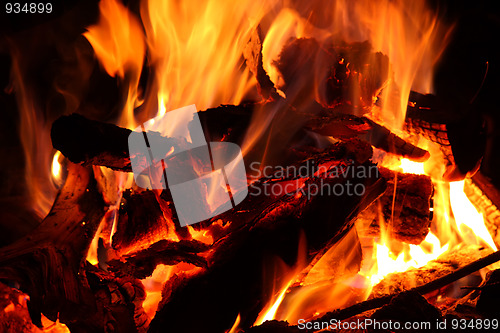 Image of Bonfire