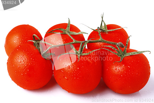 Image of Tomatoes