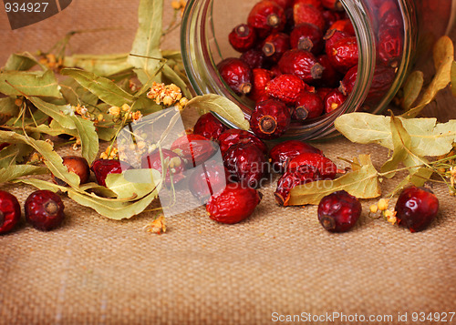 Image of Rose hips and lime blossom