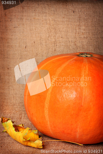 Image of Pumpkin