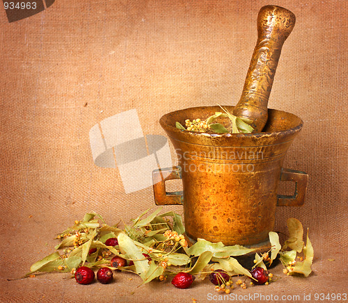 Image of Old bronze mortar with linden and rose hips