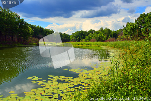 Image of summer lake landscape
