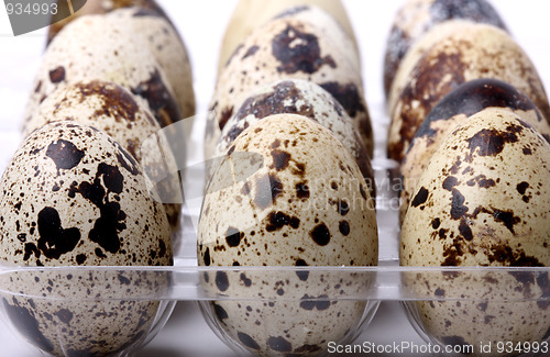 Image of Quail eggs