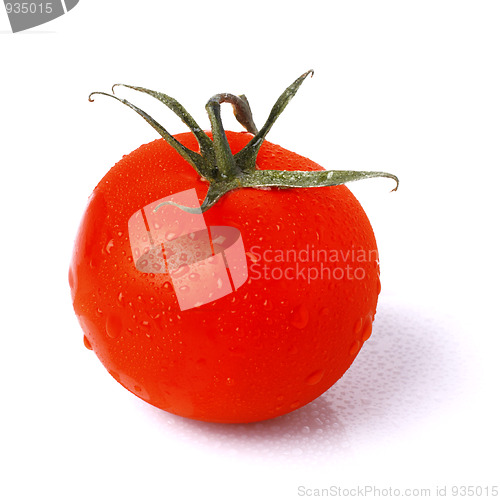 Image of Tomato