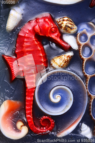 Image of Seahorse and shells 