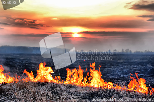 Image of Fire of grass at sunset 